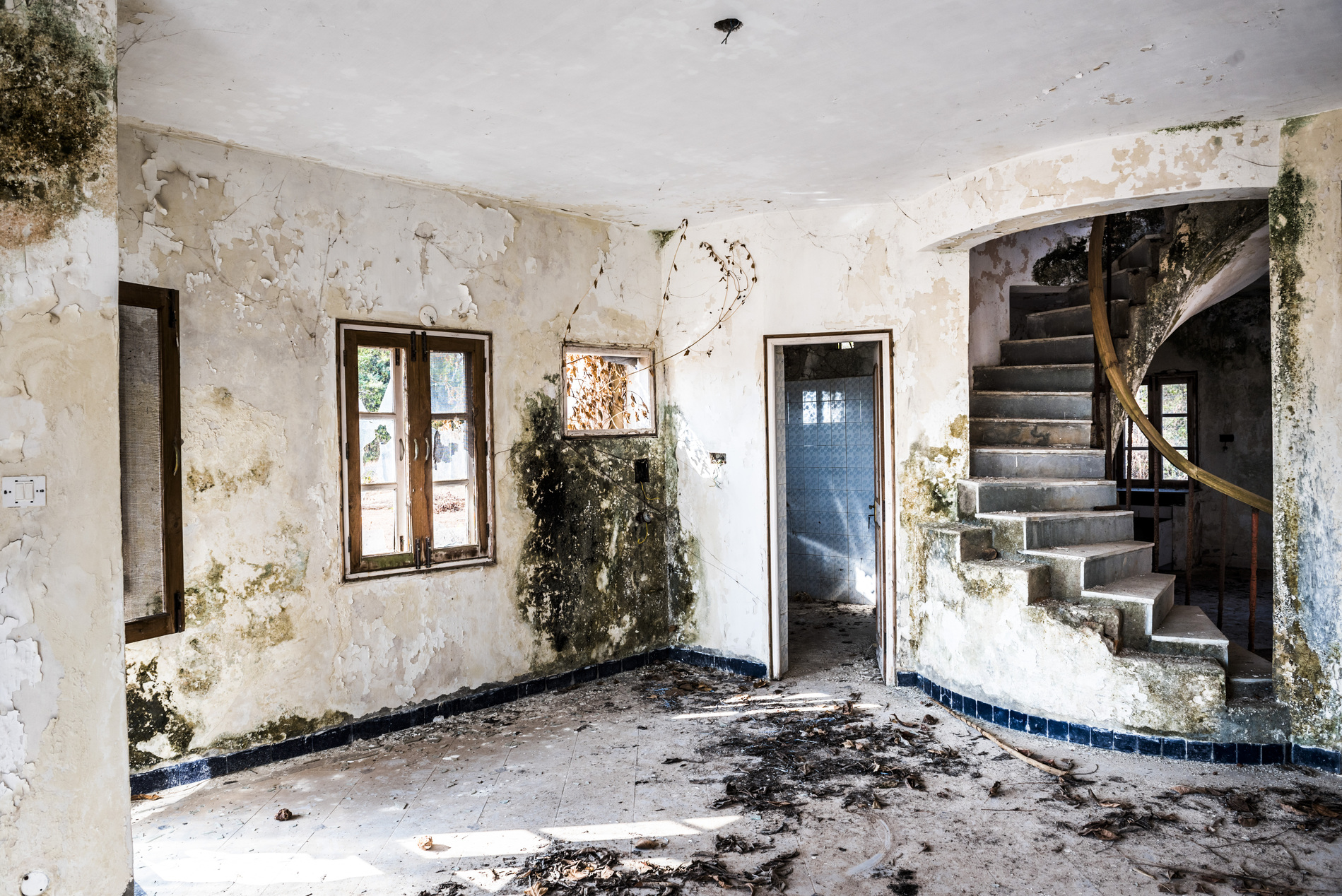 Heavy mold growth in an abandoned commercial interior