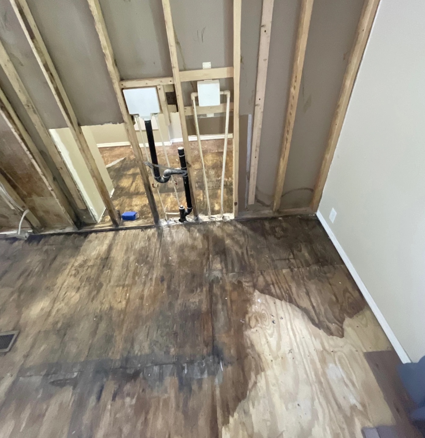 Exposed subfloor and wall studs after water damage extraction in Louisville