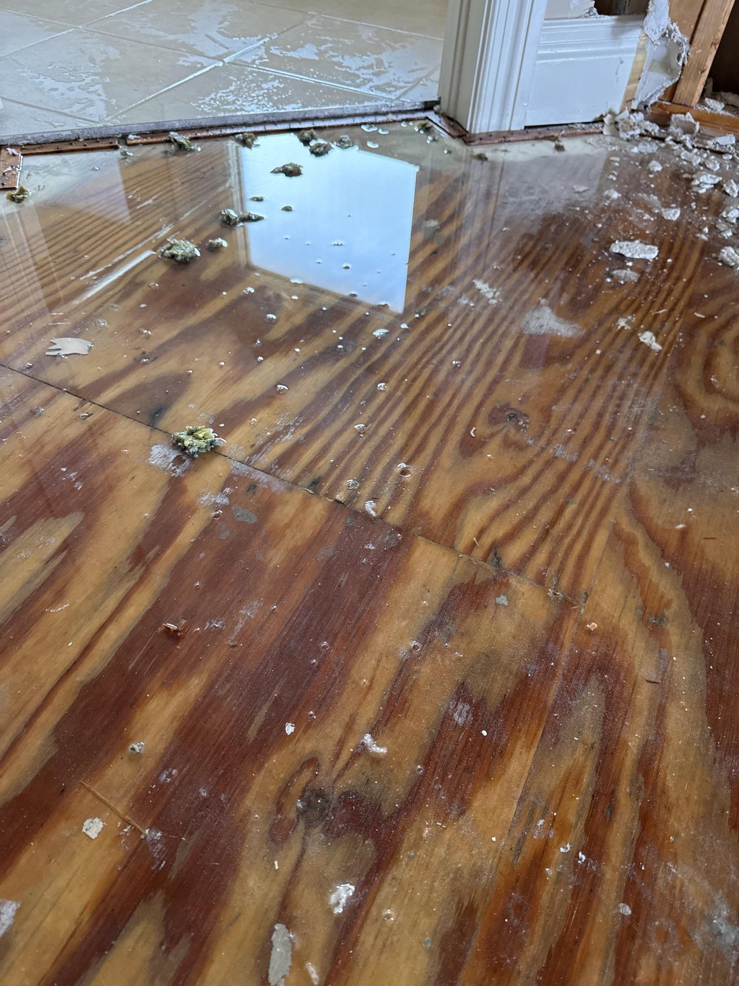Standing water and damage on wood subfloor from storm intrusion in Louisville
