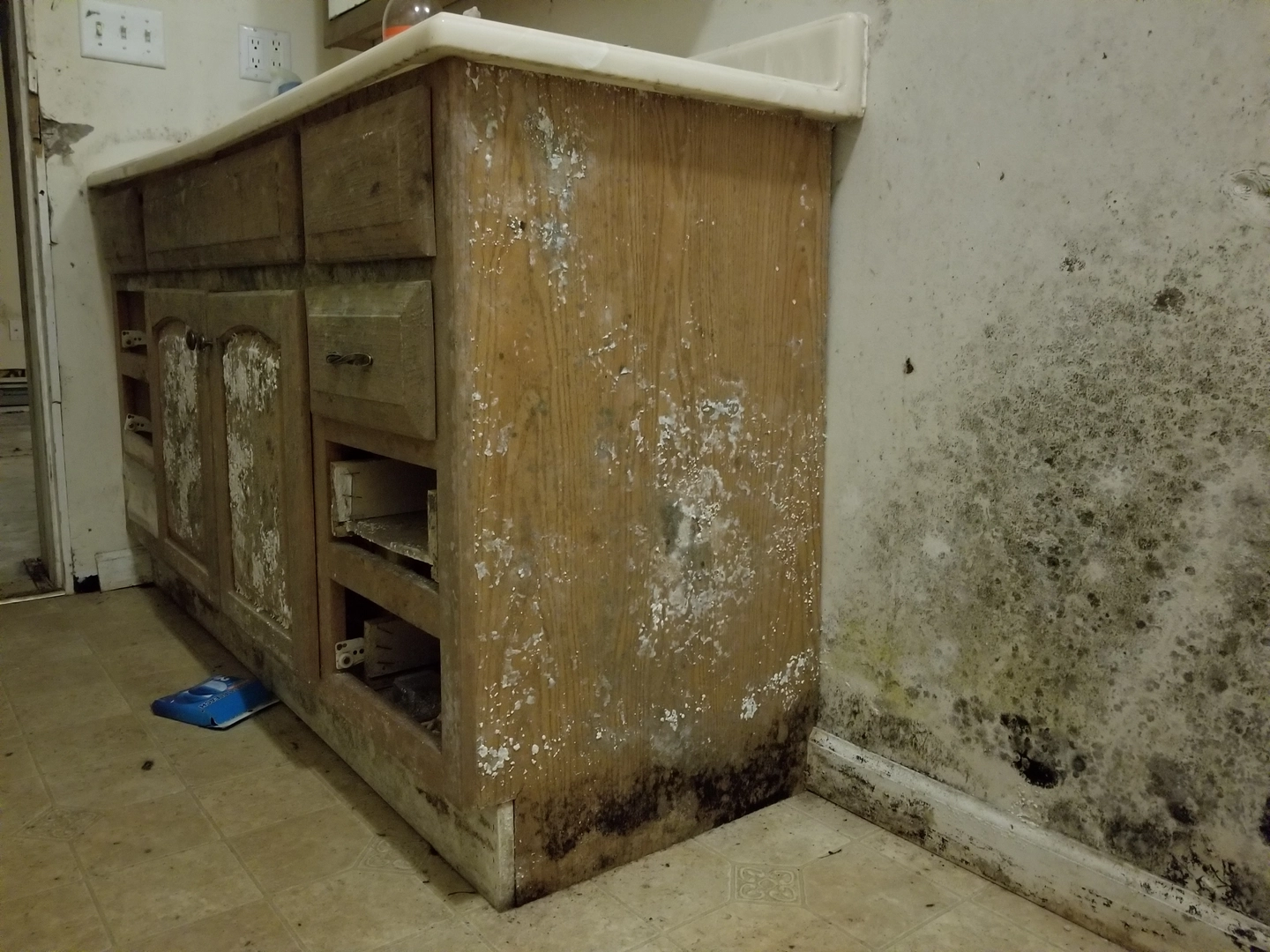 Extensive mold growth on kitchen cabinet and wall in a Louisville home